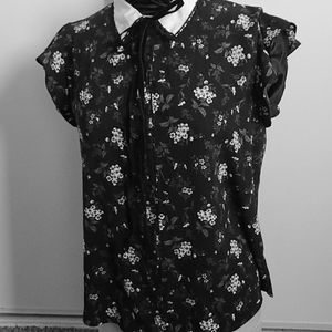 Cute collared blouse